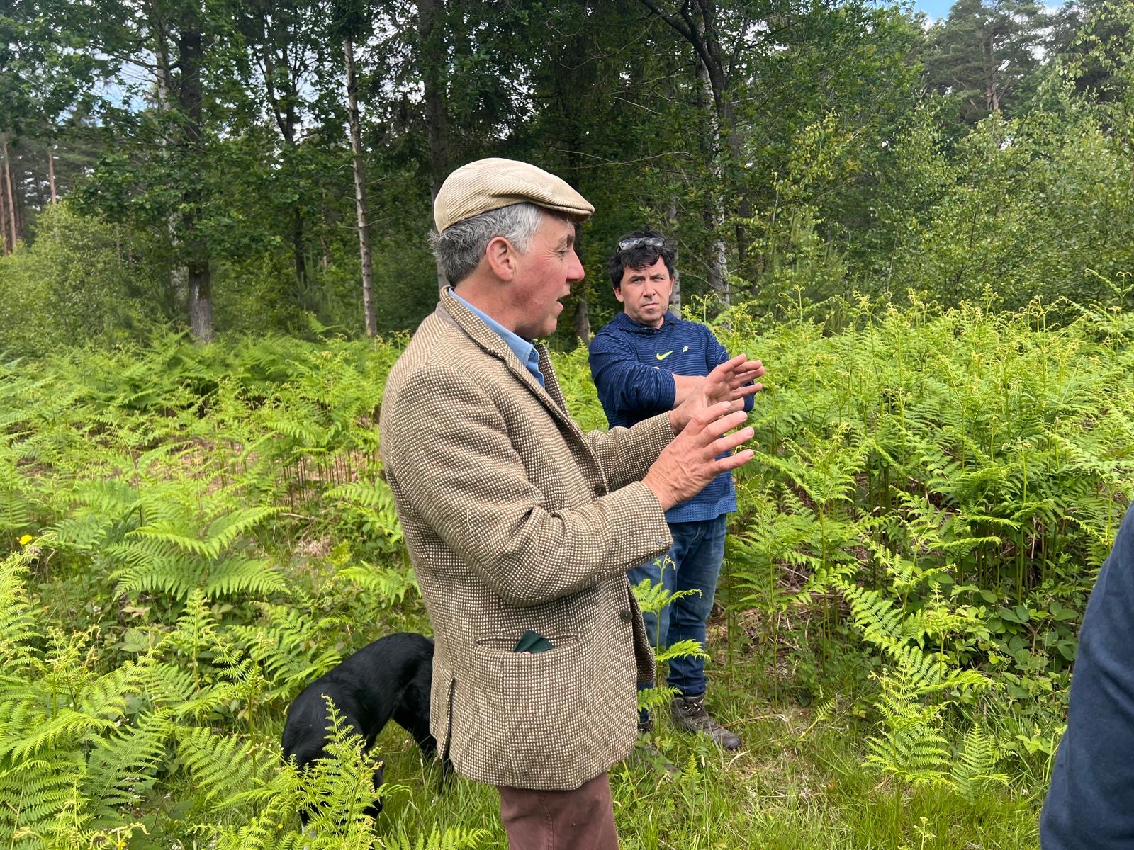 88Efd7ce 639C 4C77 8Bb8 99Fa8edf3d5a