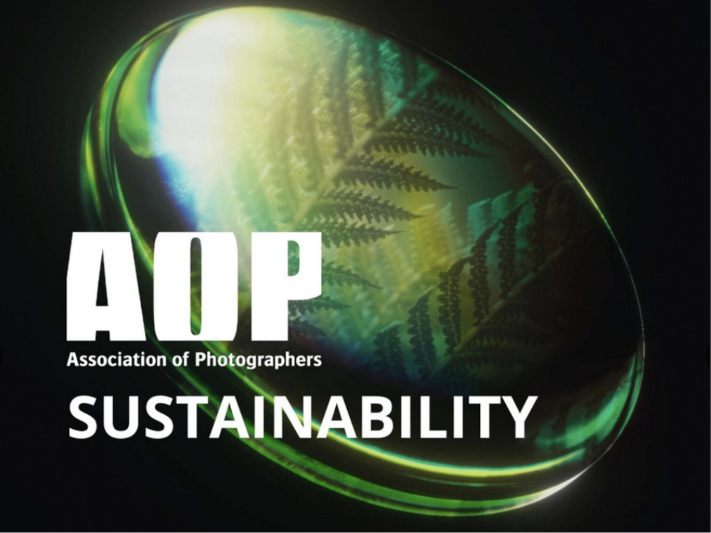 Screenshot 2024 11 05 At 16.16.19