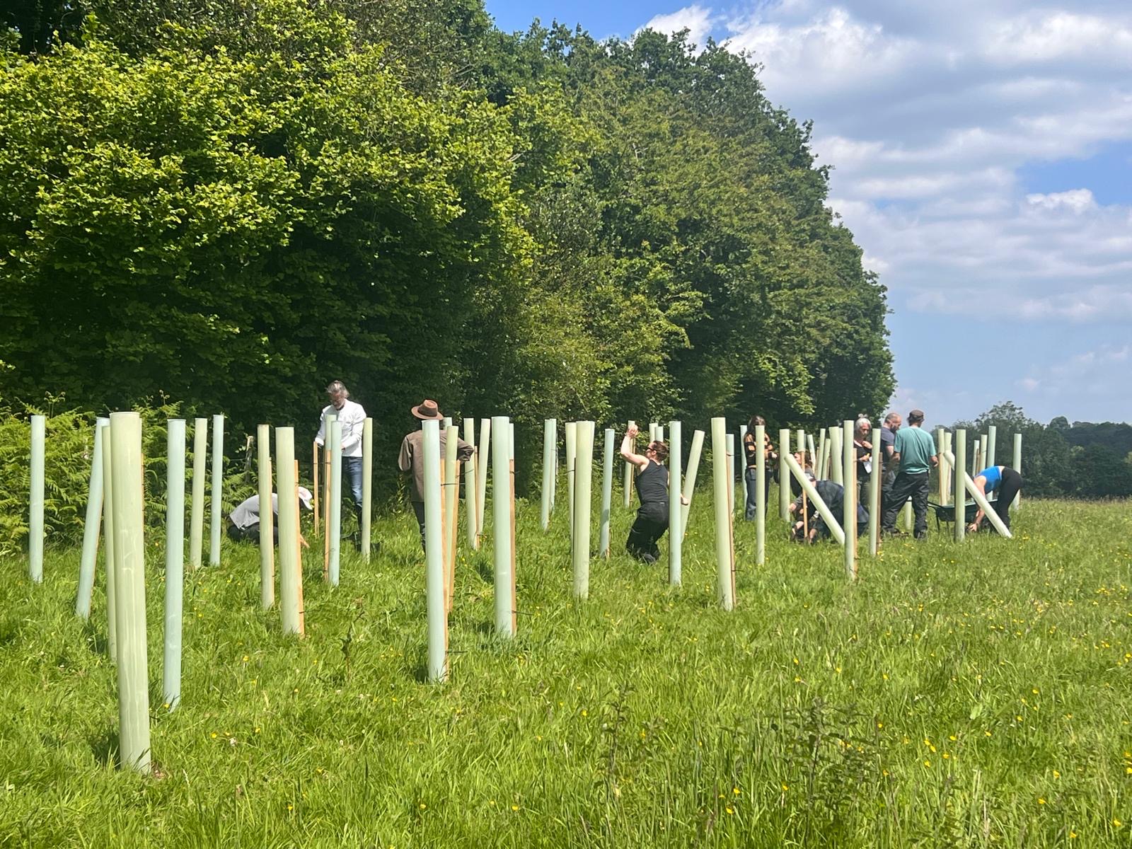 24Ccaca5 Ec35 405C B690 3060Fff18d8d