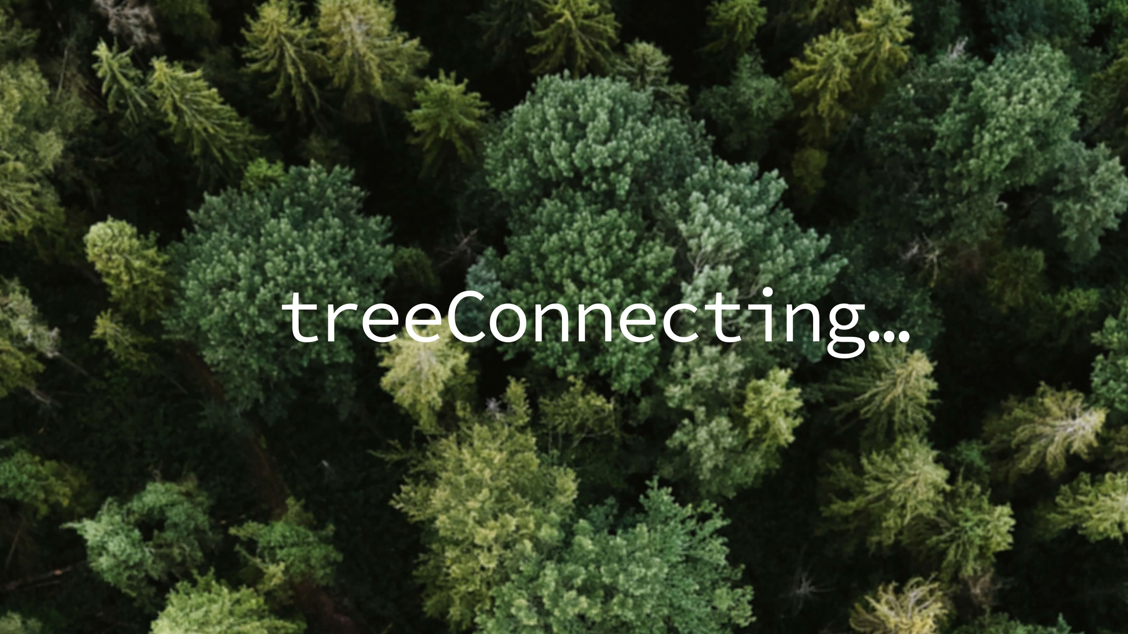 Treeconnecting Cover