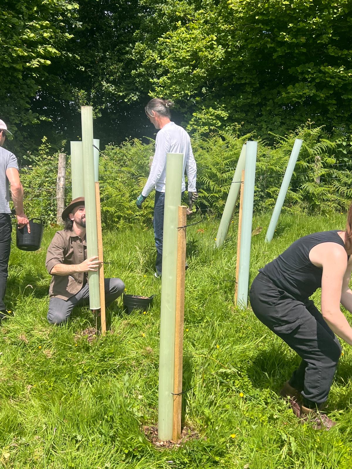 5B7eea03 0B80 4E37 B9bd Fae749a454ab