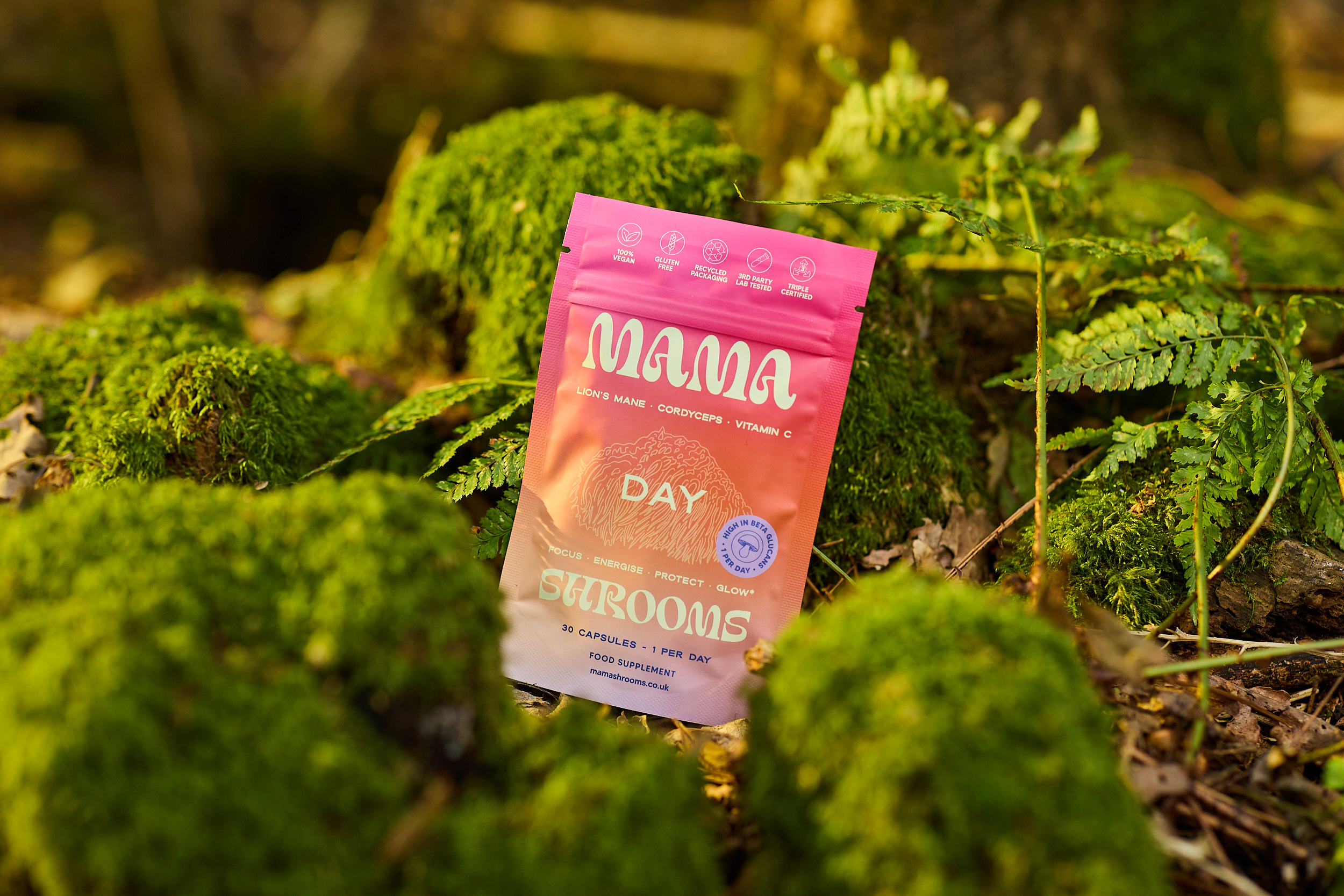 Q568 Locate Mamashrooms 129 2500Px Srgb