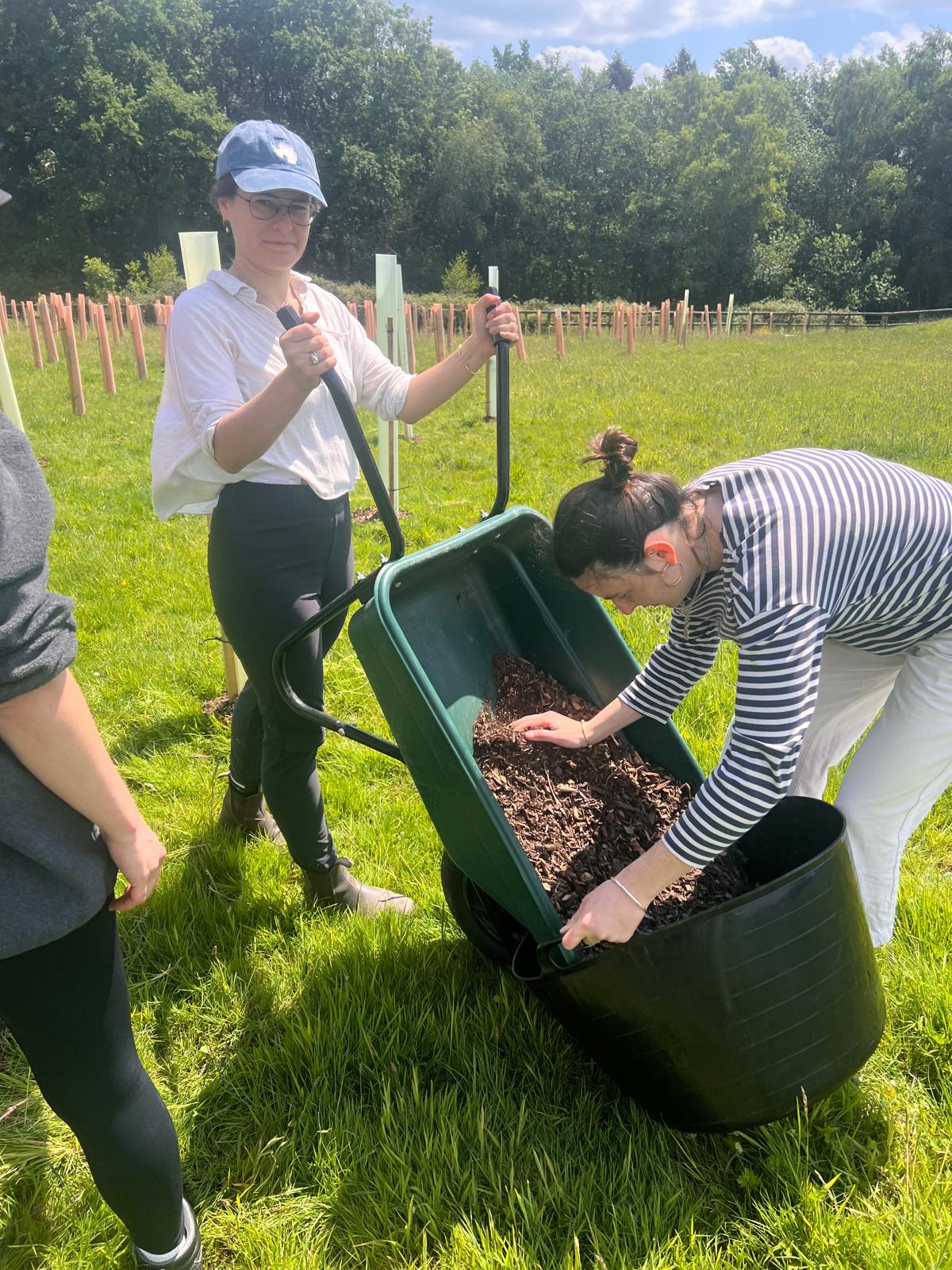 62115A50 879A 4Adc Bd46 765299622F53