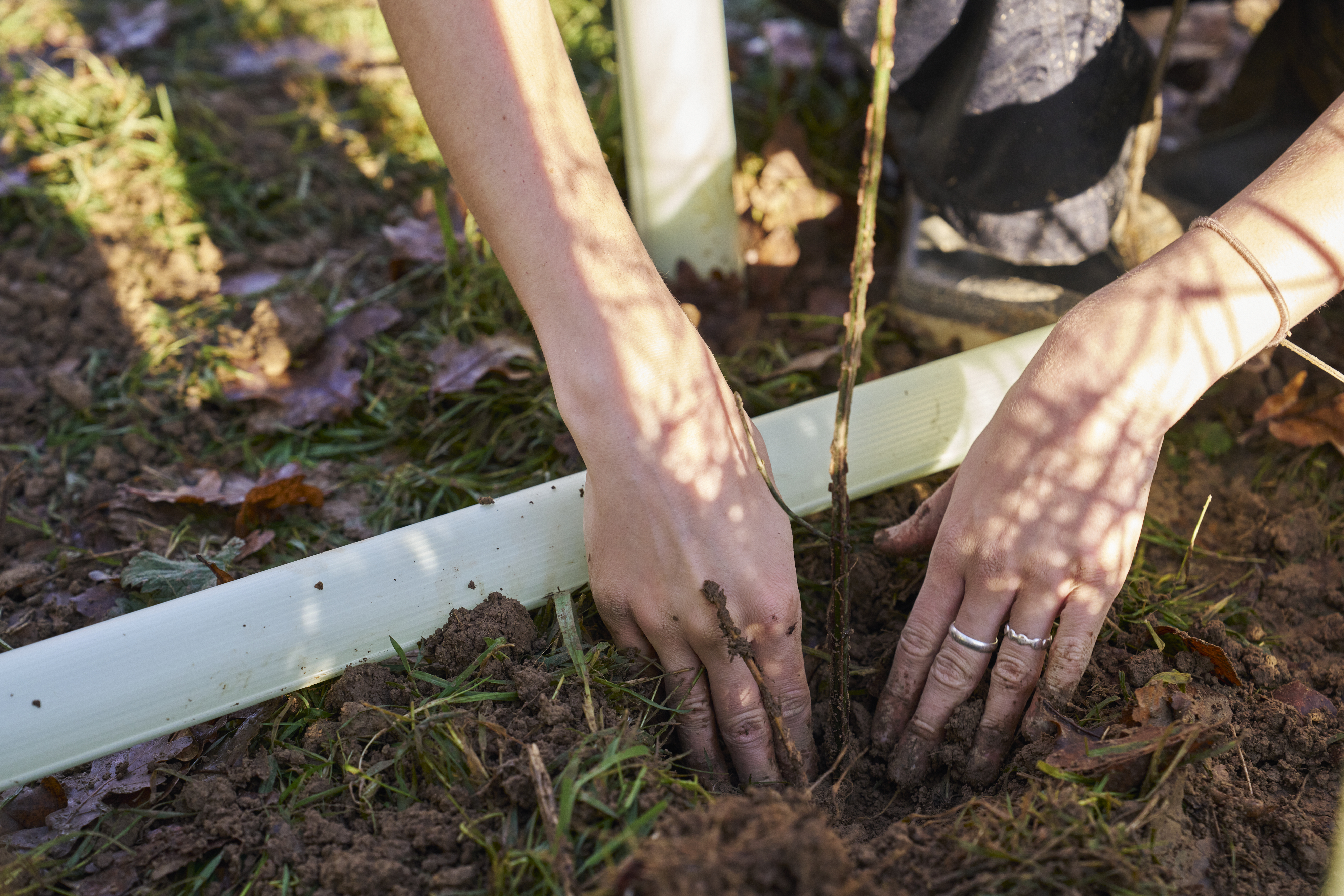 2024 11 28 Wilderlands 0232 Low Res