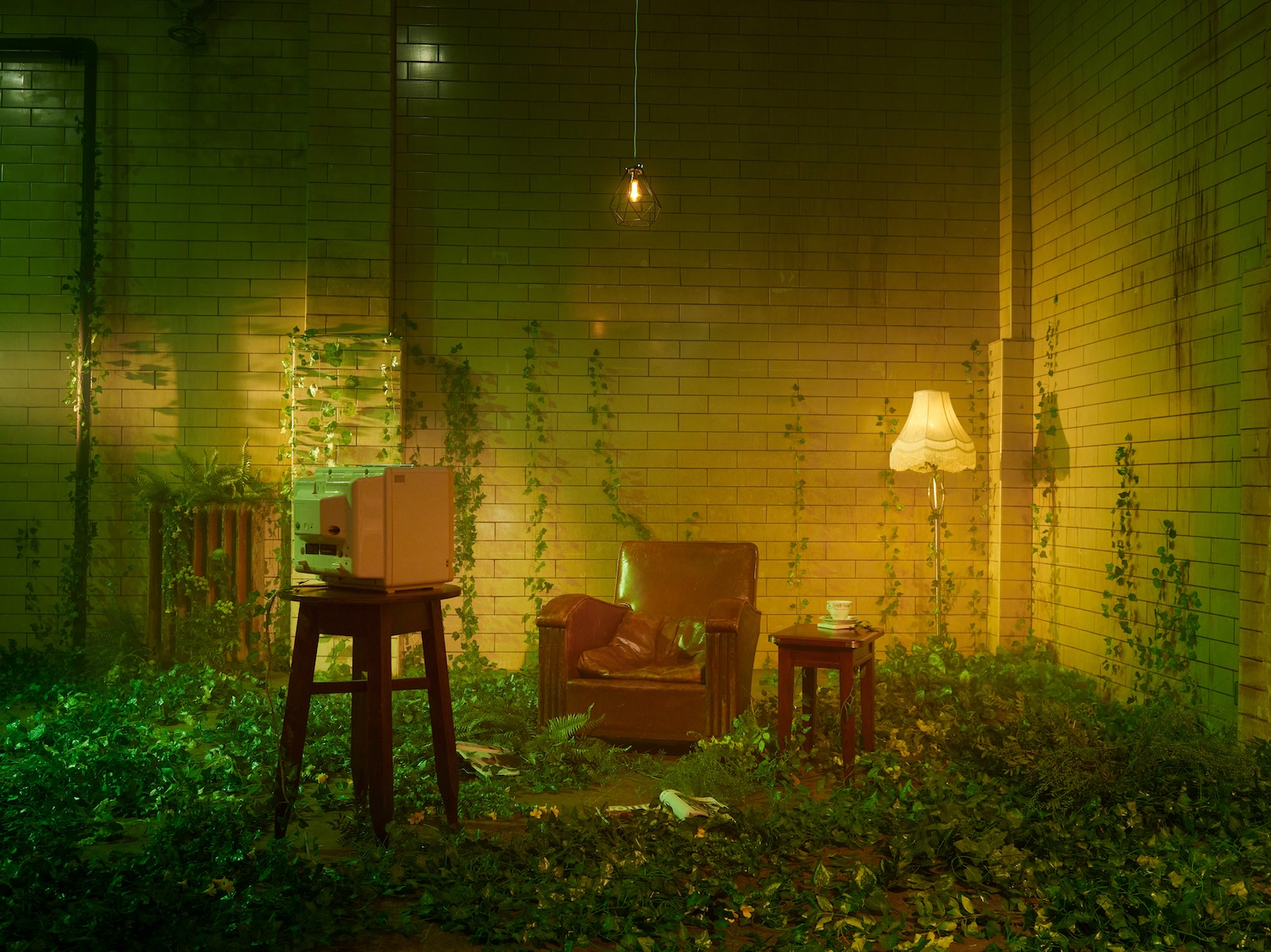 Wilding 26 04 2023 00762 Copy