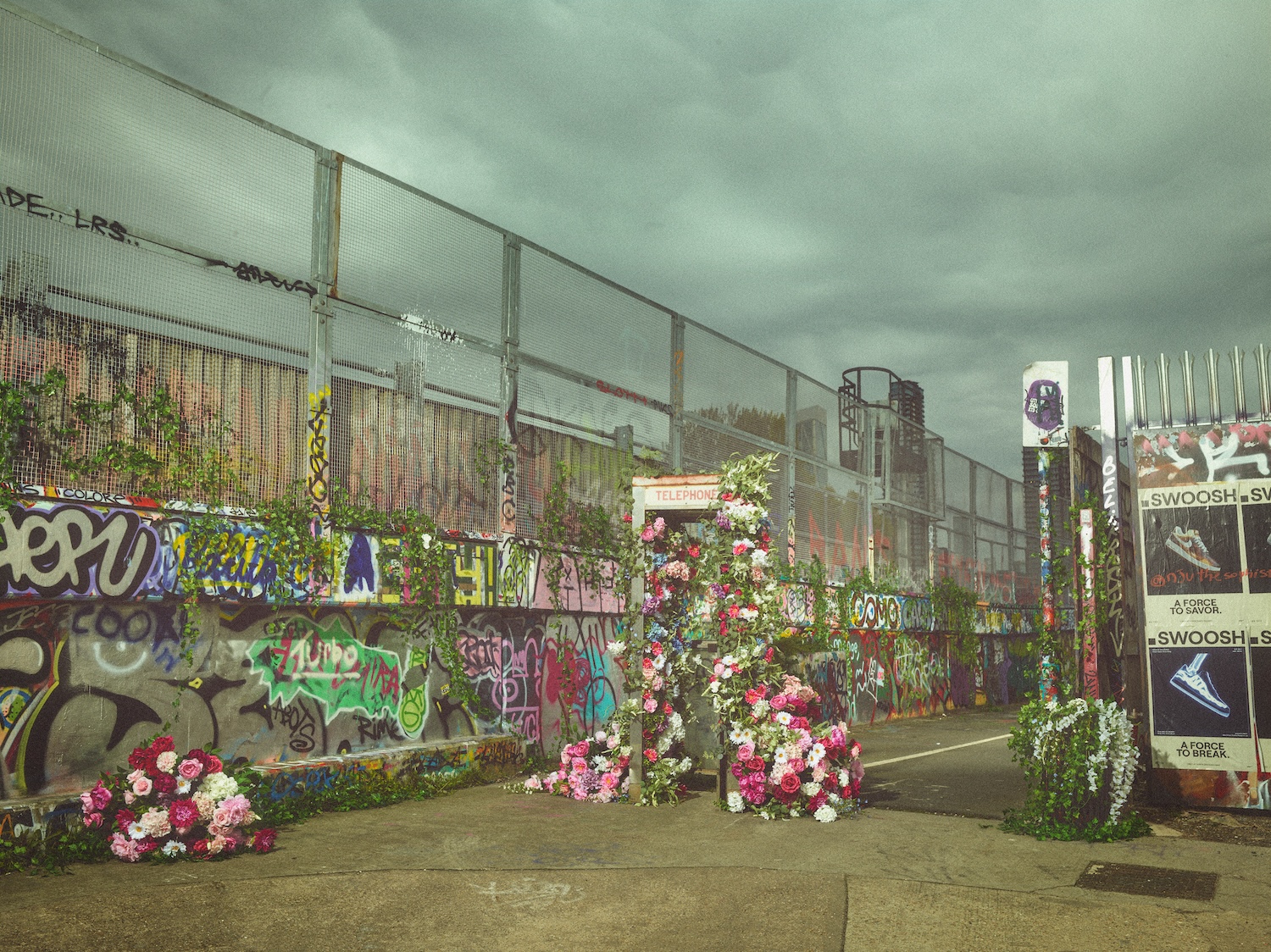 Wilding 26 04 2023 00075 Copy