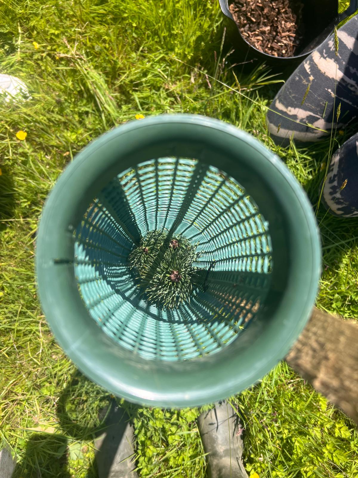 Whatsapp Image 2024 06 19 At 18.19.34