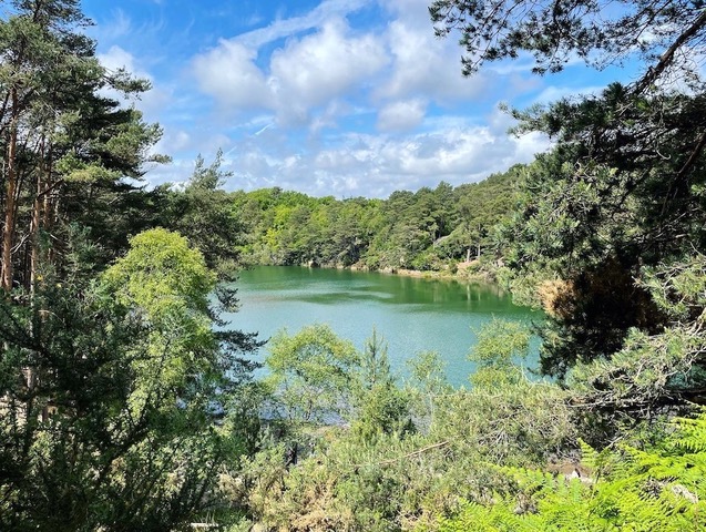 C27DC709 8055 498F A25D 5537AD1CFB6D Copy