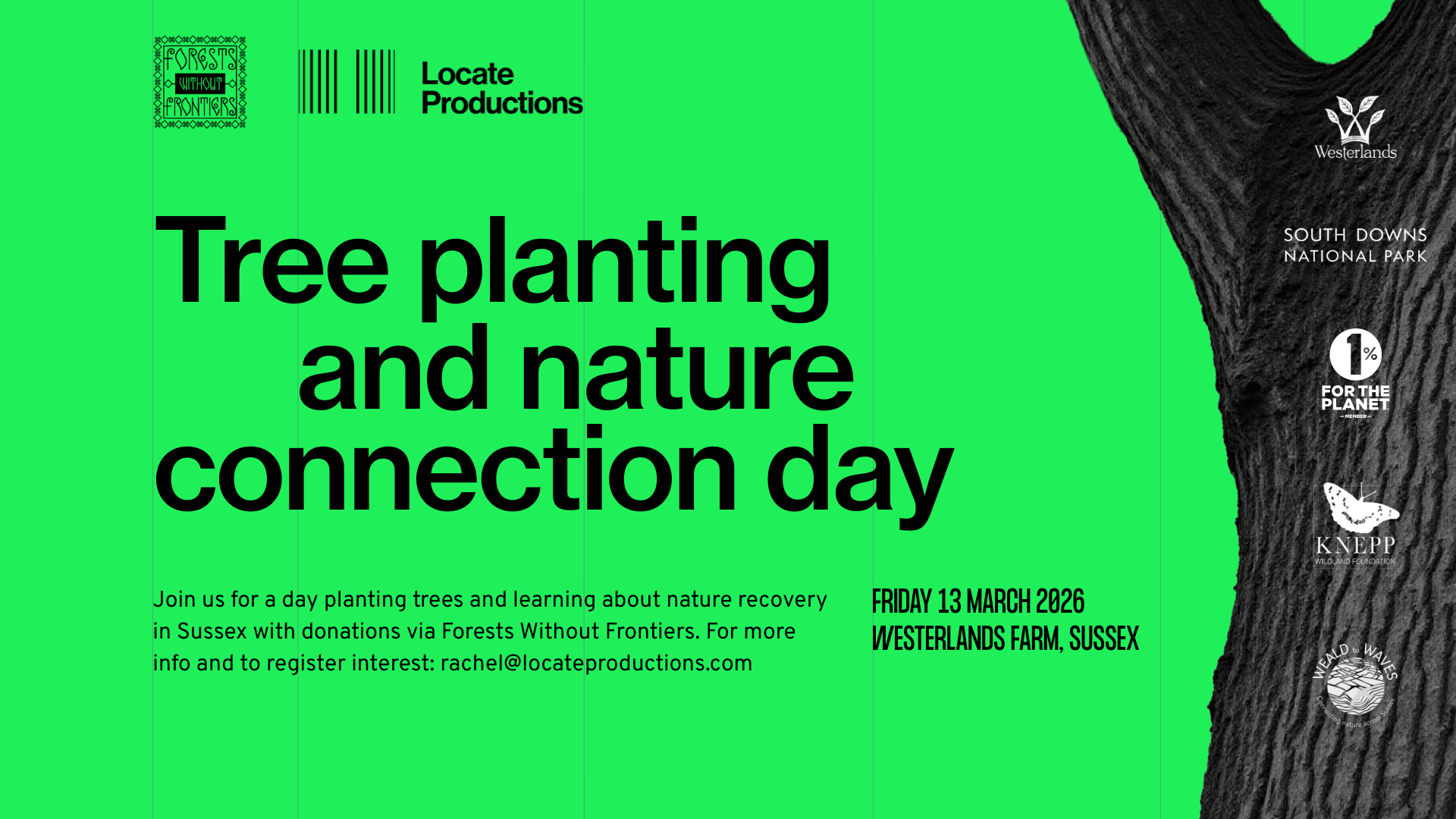 Tree Planting 169 Green